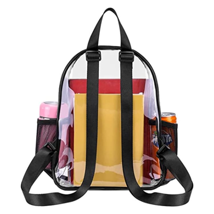 Mini Clear Backpack 