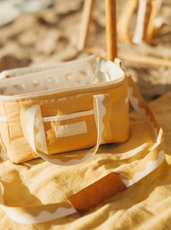 Premium Cooler Box and Multi-style Shopping Insulated Picnic Cooler Suitcase Bag Premium Cooler Box and Multi-style Shopping Insulated Picnic Cooler Suitcase Bag