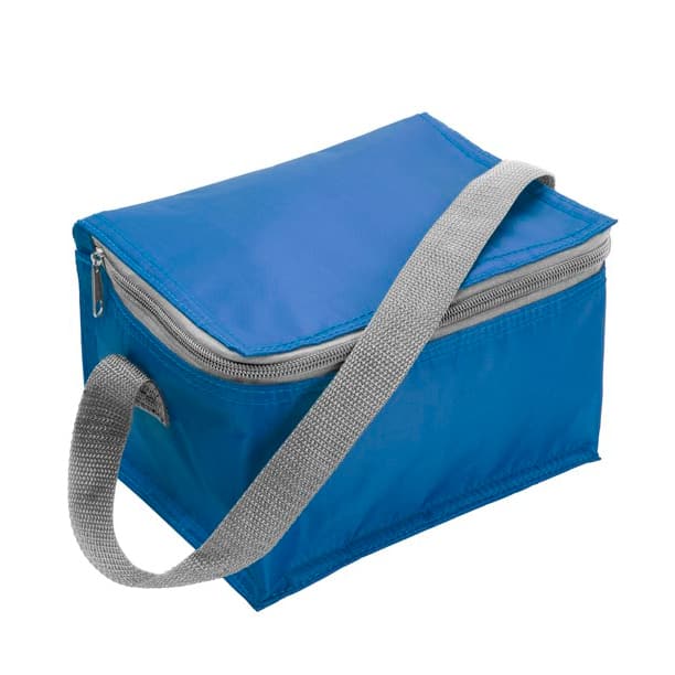 Portable Polyester insulated cooler bag