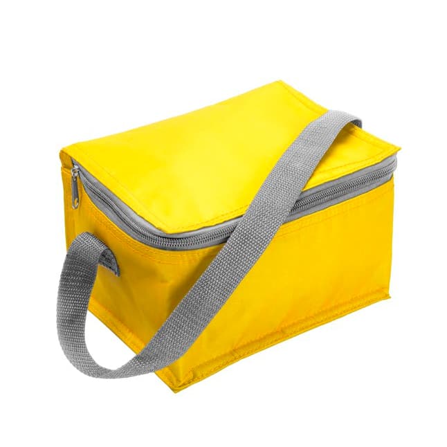 Portable Polyester insulated cooler bag