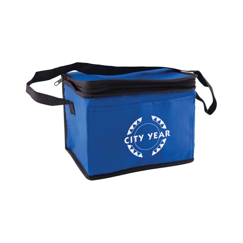 Promotional Portable Non-woven Insulated Cooler Bag Promotional Portable Non-woven Insulated Cooler Bag