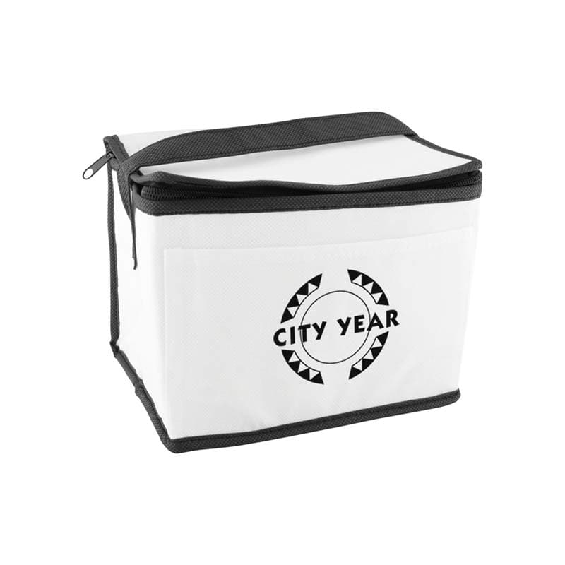 Promotional Portable Non-woven Insulated Cooler Bag Promotional Portable Non-woven Insulated Cooler Bag