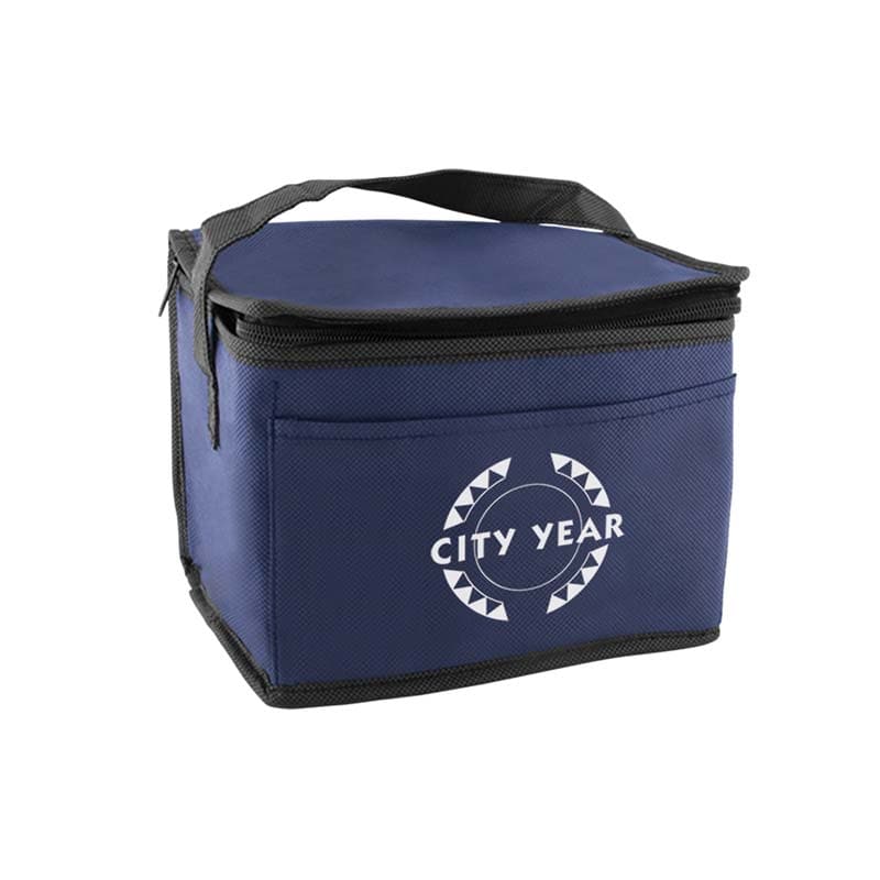 Promotional Portable Non-woven Insulated Cooler Bag Promotional Portable Non-woven Insulated Cooler Bag