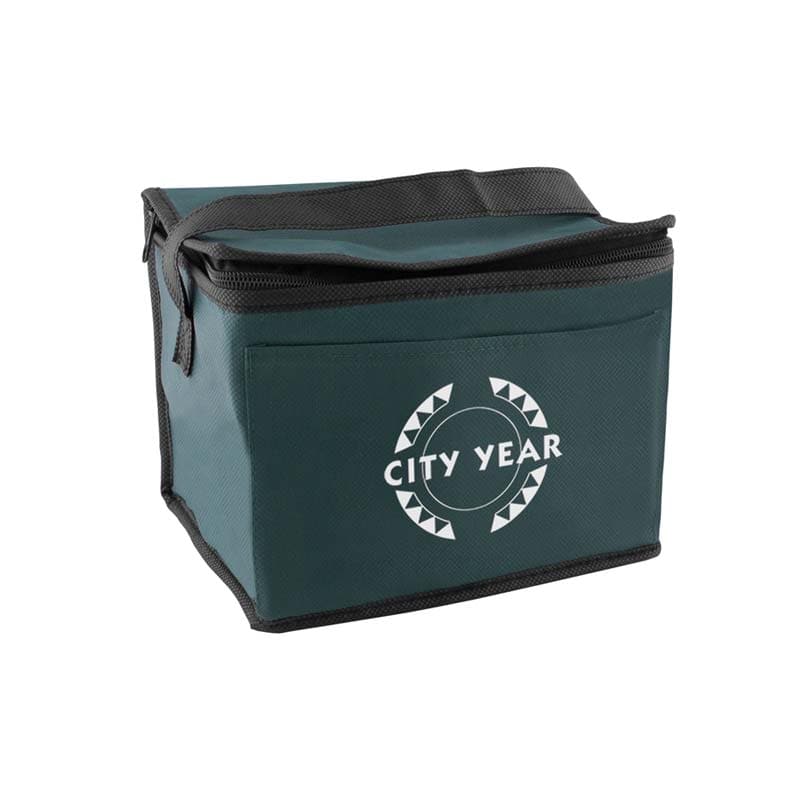 Promotional Portable Non-woven Insulated Cooler Bag 