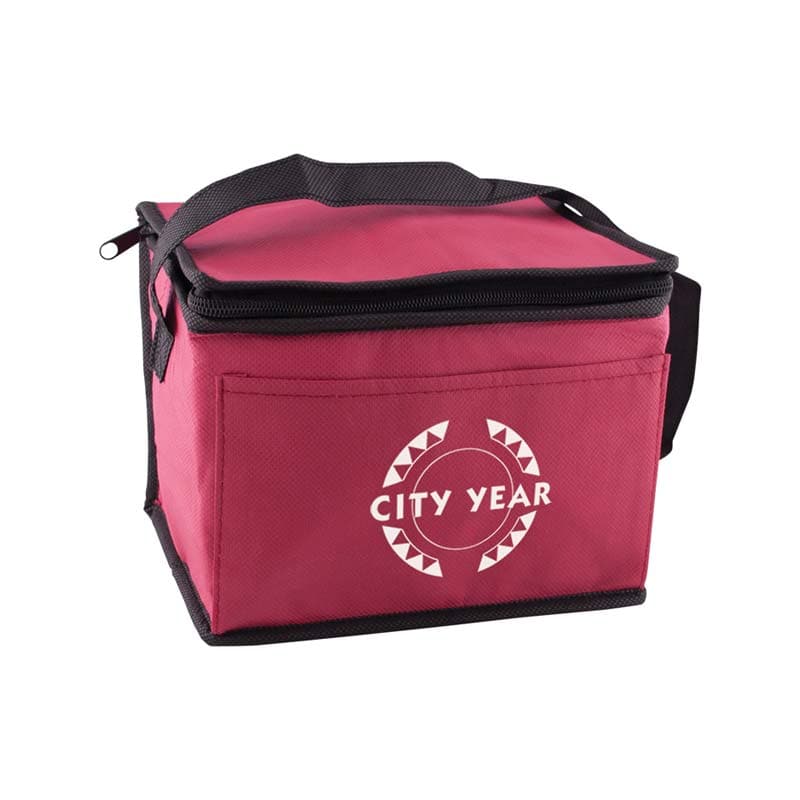 Promotional Portable Non-woven Insulated Cooler Bag 