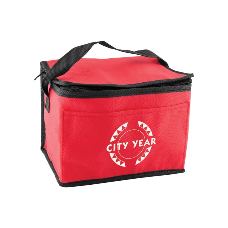 Promotional Portable Non-woven Insulated Cooler Bag 