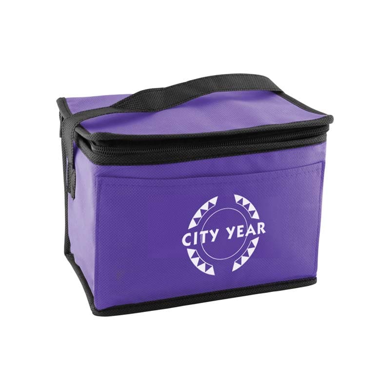 Promotional Portable Non-woven Insulated Cooler Bag 