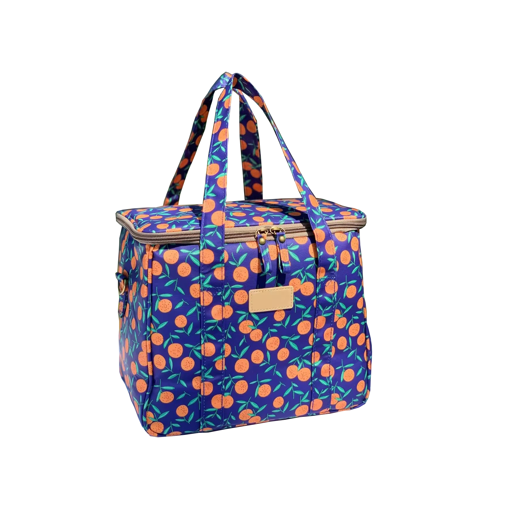 Insulated Lunch Bag Picnic Cooler Insulated Lunch Bag Picnic Cooler