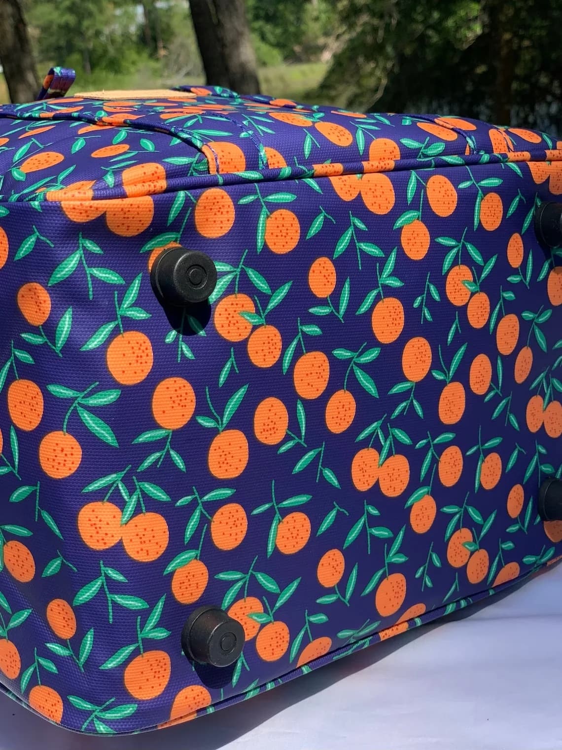 Insulated Lunch Bag Picnic Cooler Insulated Lunch Bag Picnic Cooler