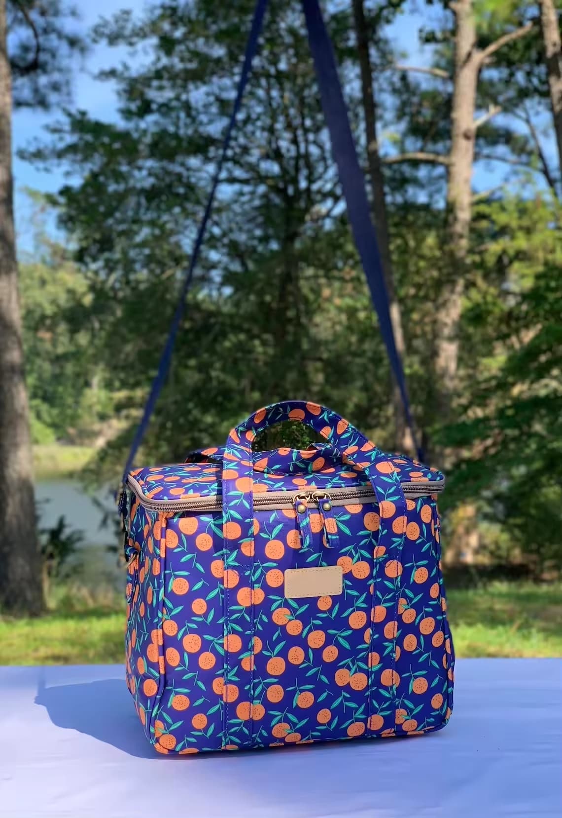 Insulated Lunch Bag Picnic Cooler 