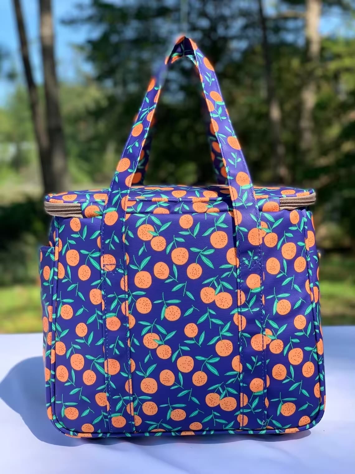 Insulated Lunch Bag Picnic Cooler 